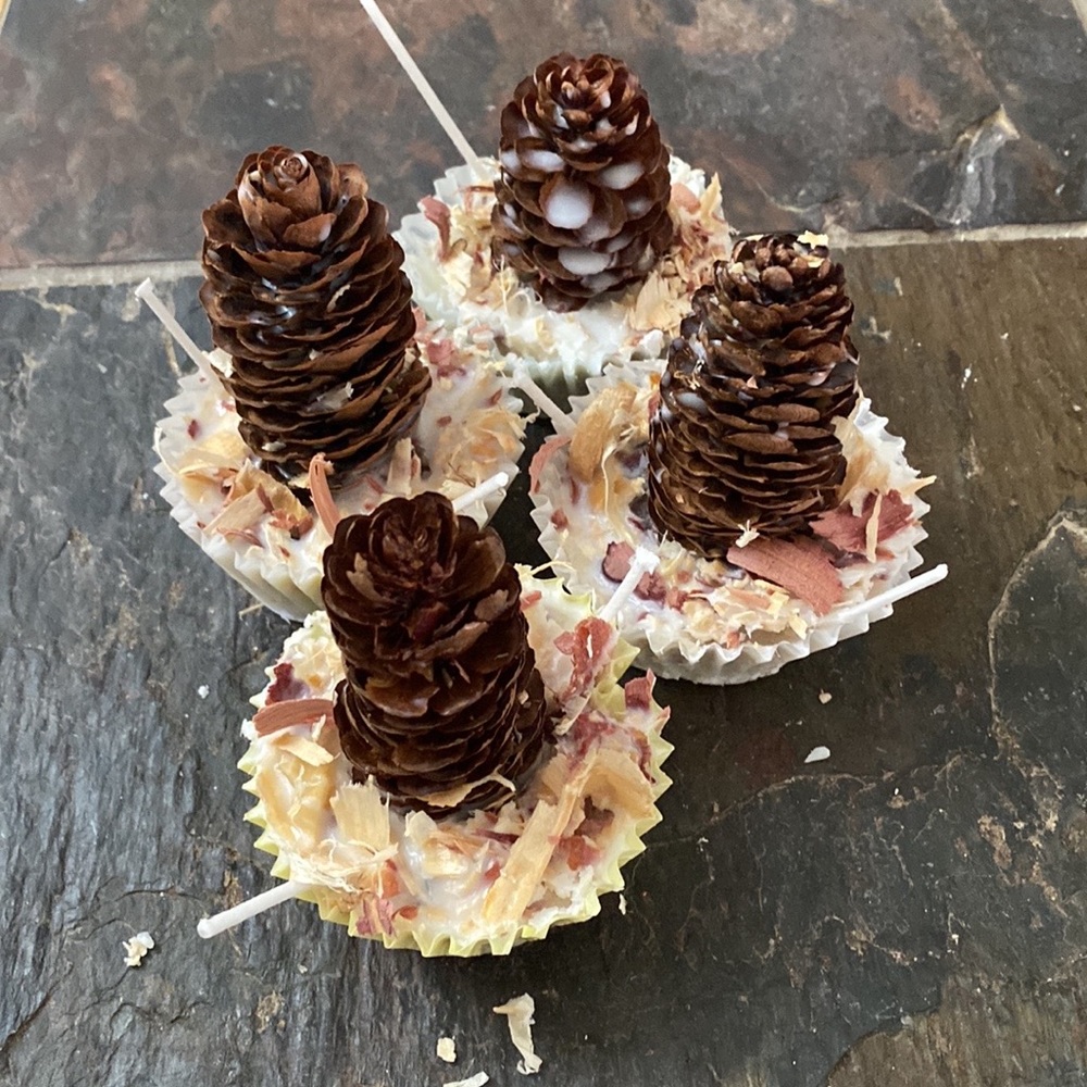 8 pack Artisan Crafted Fire Starters double wick soy cedar pine